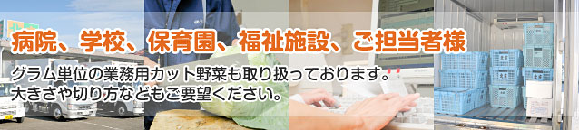 病院、学校、保育園、福祉施設、ご担当者様、グラム単位の業務用カット野菜も取り扱っております。
大きさや切り方などもご要望ください。